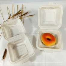 Wholesale 100% Biodegradable and Compostable Disposable Cornstarch Plastic Takeaway Food Burger Container